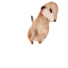 Meerkat Sitting 32cmH - Image 2