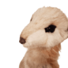 Meerkat Sitting 32cmH - Image 5
