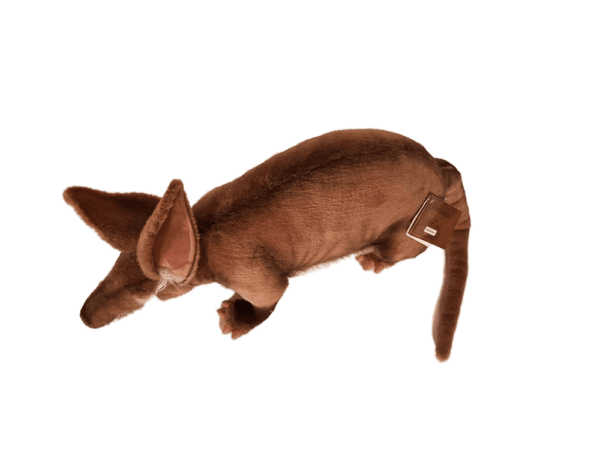 Aadvark 52cmL - Image 8