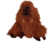 Adult Orangutan (S)