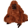 Adult Orangutan (S)