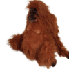 Adult Orangutan (S)