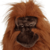 Adult Orangutan (S)