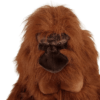 Adult Orangutan (S)