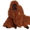 Adult Orangutan (S)
