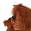 Adult Orangutan (S)