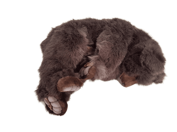 Bear Brown Sleeping