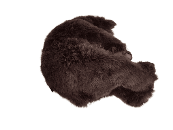 Bear Brown Sleeping