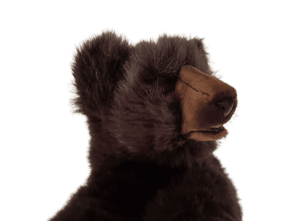 Bear Brown Sleeping