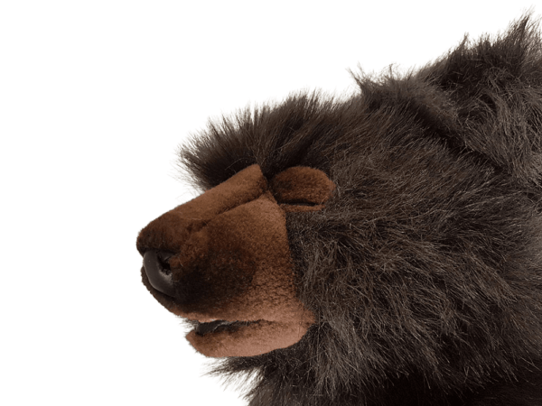 Bear Brown Sleeping
