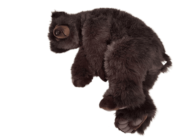 Bear Brown Sleeping