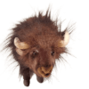 Buffalo