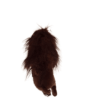 Buffalo