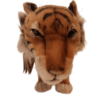 Caspian Tiger