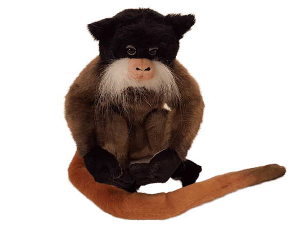 Emperor Tamarin