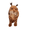 Lynx Spanish Standing
