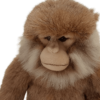 Monkey - Salem Monkey