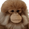 Monkey - Salem Monkey