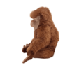 Monkey - Salem Monkey