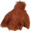 Orangutan- Lady