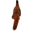 Pheasant