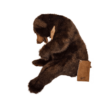 Sunbear Sitting 28cmH - Image 2