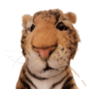 Tiger Cub Sitting 38cmL - Image 8