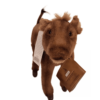 Wart Hog Baby