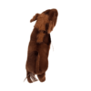 Wart Hog Baby 28cmL - Image 7