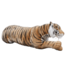 Liggende tiger