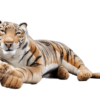 Liggende tiger - Image 4