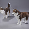 Polar bear on a sled with 3 husky dogs - Image 3