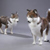 Polar bear on a sled with 3 husky dogs - Image 4