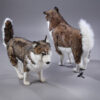 Polar bear on a sled with 3 husky dogs - Image 5