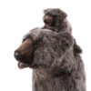 Grizzly cub standing 68cm