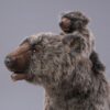 Grizzly cub standing 68cm - Image 4