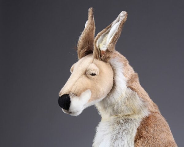Kangaroo with baby 1.1 m - Image 5