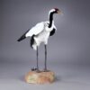 Japansk krane 72 cm - Image 9