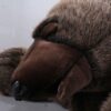 Brown bear - sleeping 100cm - Image 2