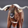 Bongo 170cm - Image 9