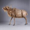 Kudu 170 cm - Image 4