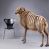Kudu 170 cm - Image 3