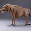 Vildsvin 122cm - Image 2