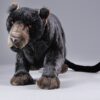 Panther - kravlende - Image 3