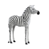 Zebra Young 124 cmH