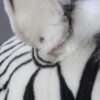Ung Zebra - Image 8