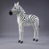 Ung Zebra - Image 6