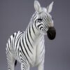 Ung Zebra - Image 5