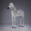 Ung Zebra - Image 2