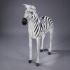 Ung Zebra - Image 14